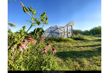 Wohnmobilstellplatz: Dea`s Farm